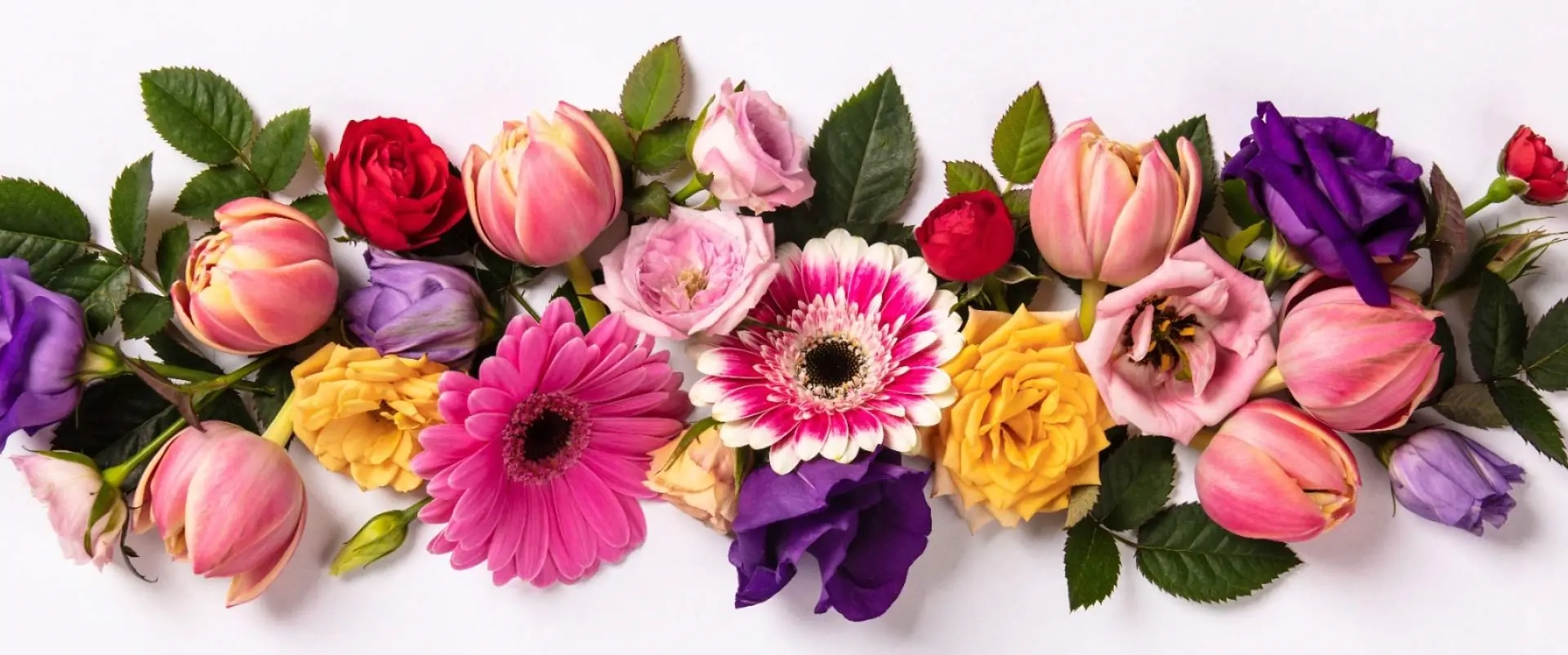 Une petite boutique pleine de charme un large choix de fleurs coupées