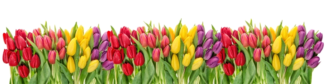 Commandez et payez par téléphone